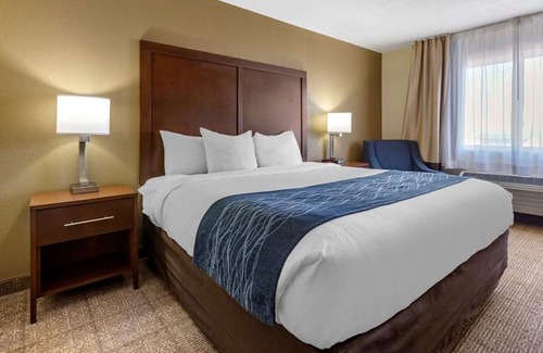 Northeast Heights Hotel | Comfort Inn & Suites Alameda at Albuquerque Balloon Fiesta Park