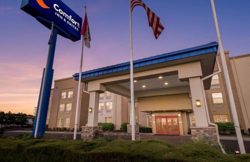 Allen Park Hotel | Comfort Inn & Suites Allen Park - Dearborn