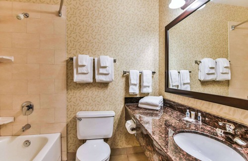 Windsor Hotel | Comfort Inn & Suites Ambassador Bridge