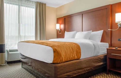 D'Iberville Hotel | Comfort Inn & Suites Biloxi - D'Iberville