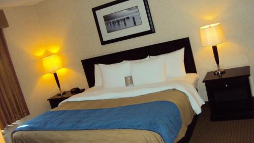 Edson Hotel | Comfort Inn & Suites