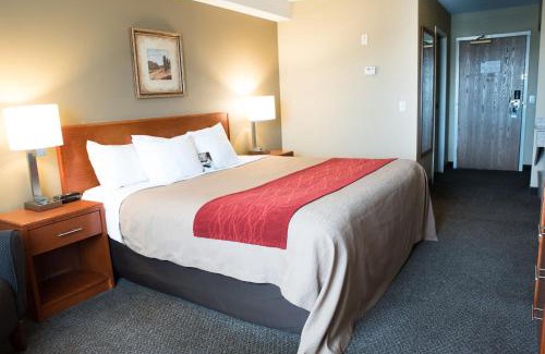 Langley Hotel | Comfort Inn & Suites