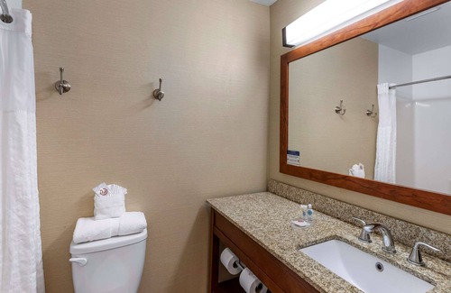 Carbondale Hotel | Comfort Inn & Suites Carbondale on the Roaring Fork