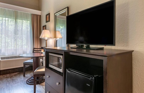DeLand Hotel | Comfort Inn & Suites DeLand - near University
