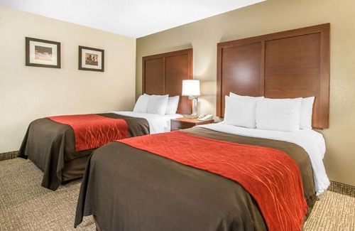 Northeast Park Hill Hotel | Comfort Inn & Suites Denver Northfield
