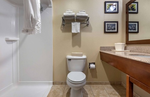 Farmington Hotel | Comfort Inn & Suites Farmington - Victor
