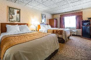 Shelby Hotel | Comfort Inn & Suites Gateway to Glacier National Park