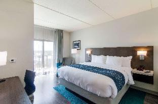 Gulf Shores Hotel | Comfort Inn & Suites Gulf Shores East Beach near Gulf State Park