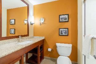 Middletown Hotel | Comfort Inn & Suites - Harrisburg Airport - Hershey South