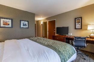 Middletown Hotel | Comfort Inn & Suites - Harrisburg Airport - Hershey South