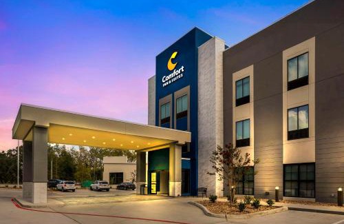 Huntsville Hotel | Comfort Inn & Suites Huntsville Near University