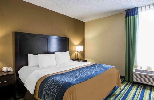 Lantana Hotel | Comfort Inn & Suites Lantana - West Palm Beach South