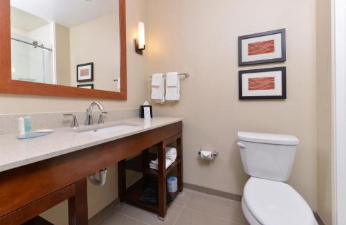 Mandan Hotel | Comfort Inn & Suites Mandan - Bismarck