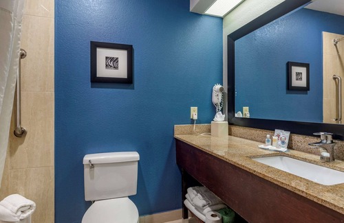 South Arlington Hotel | Comfort Inn & Suites Mansfield