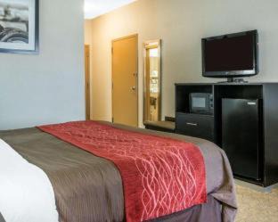 Maumee Hotel | Comfort Inn & Suites Maumee - Toledo I80-90