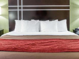 Maumee Hotel | Comfort Inn & Suites Maumee - Toledo I80-90