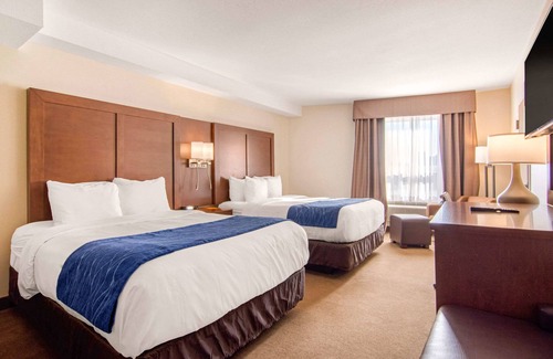Medicine Hat Hotel | Comfort Inn & Suites Medicine Hat