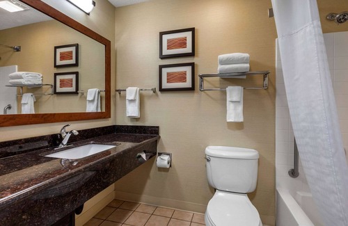 Temecula Hotel | Comfort Inn & Suites Murrieta Temecula Wine Country
