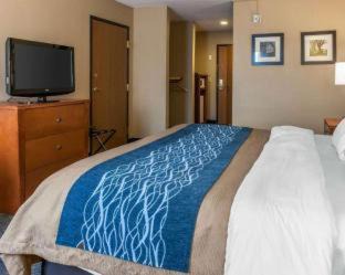 Napoleon Hotel | Comfort Inn & Suites Napoleon