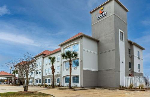 New Iberia Hotel | Comfort Inn & Suites New Iberia - Avery Island