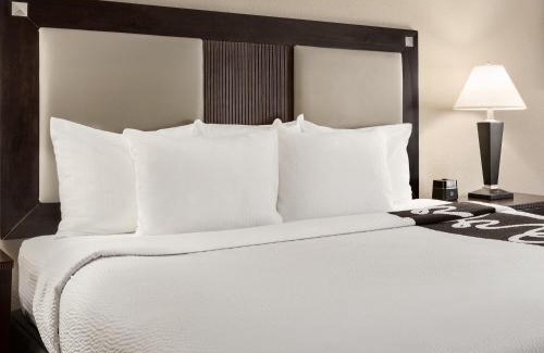 Charlotte County Hotel | Comfort Inn & Suites Port Charlotte-Punta Gorda