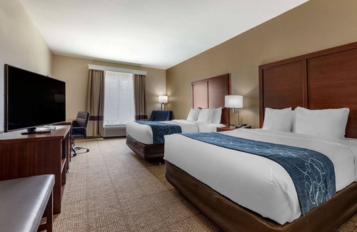 Paris Hotel | Comfort Inn & Suites Paris