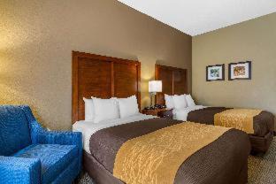 Norcross Hotel | Comfort Inn & Suites Peachtree Corners