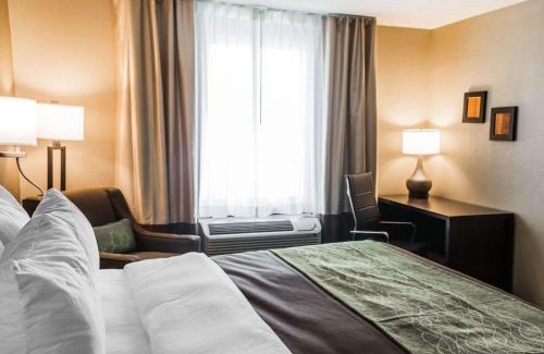 Pharr Hotel | Comfort Inn & Suites Pharr - McAllen
