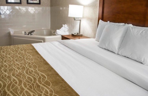 Le Claire Hotel | Comfort Inn & Suites Riverview near Davenport and I-80