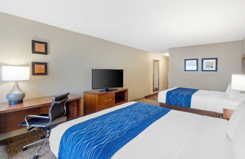 Rocklin Hotel | Comfort Inn & Suites Rocklin - Roseville