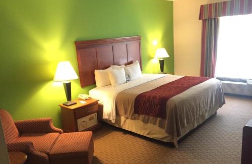 Rogersville Hotel | Comfort Inn & Suites Rogersville