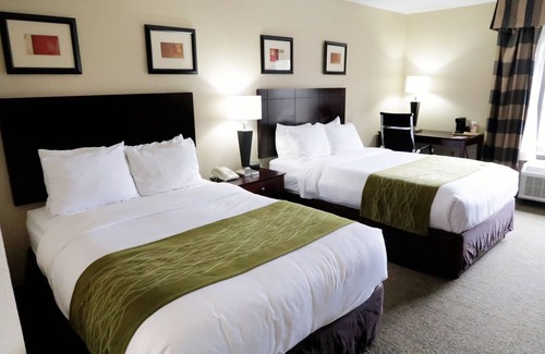 Sharpstown Hotel | Comfort Inn & Suites Southwest Fwy at Westpark