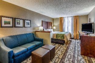 Staunton Hotel | Comfort Inn & Suites Staunton