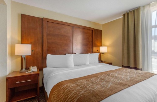 Clodine Hotel | Comfort Inn & Suites SW Houston Sugarland
