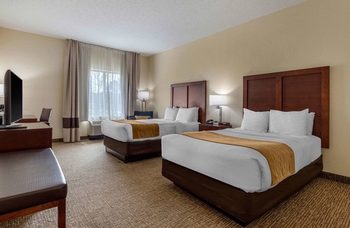 Camden Hotel | Comfort Inn & Suites