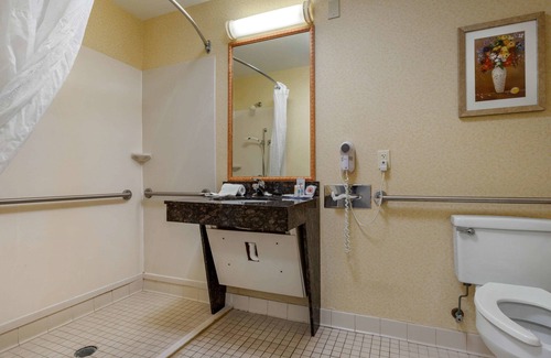 Camden Hotel | Comfort Inn & Suites