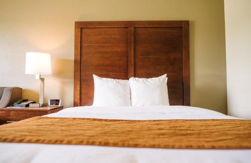 Custer Hotel | Comfort Inn & Suites