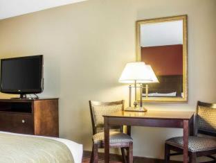 Rogers Hotel | Comfort Inn & Suites