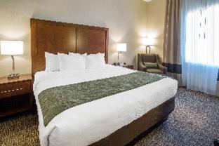 Edgewood Hotel | Comfort Inn & Suites