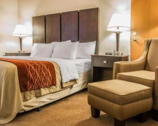Fenton Hotel | Comfort Inn & Suites