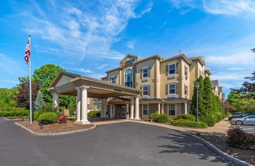 Hadley Hotel | Comfort Inn & Suites
