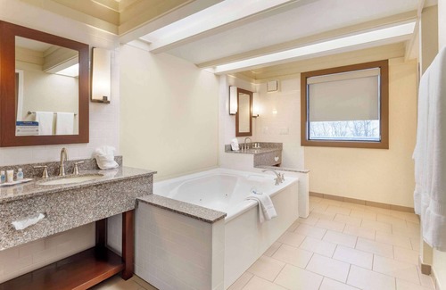 Tire Hill Hotel | Comfort Inn & Suites