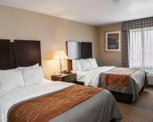 Muncie Hotel | Comfort Inn & Suites