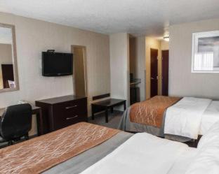 Muncie Hotel | Comfort Inn & Suites