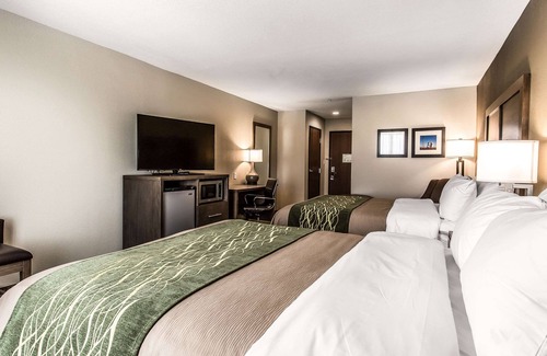 Ira Hotel | Comfort Inn & Suites