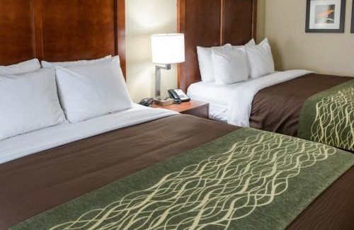 Rochester Hotel | Comfort Inn & Suites West - Medical Center