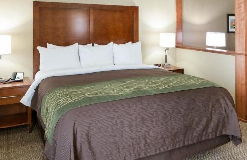 Rochester Hotel | Comfort Inn & Suites West - Medical Center