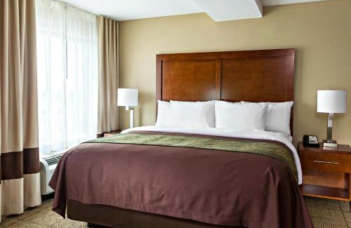 Rochester Hotel | Comfort Inn & Suites West - Medical Center