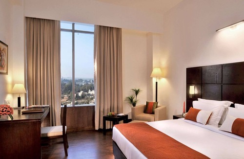 Bathinda Hotel | Comfort Inn Tulip Heights