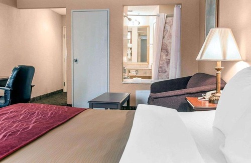 Livonia Hotel | Comfort Inn